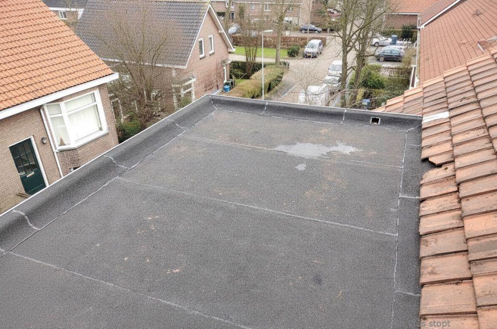Dakdekker In Najaar Waalre