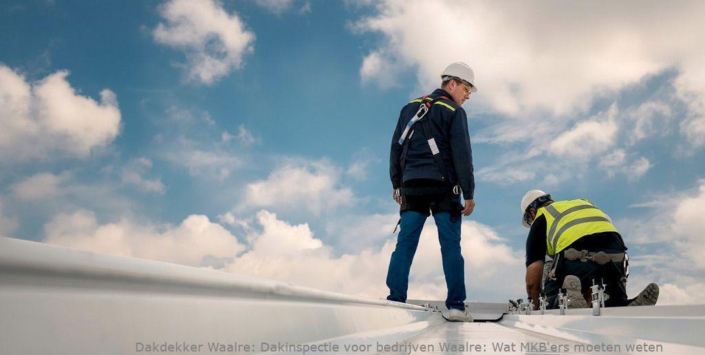 Dakinspectie Voor Bedrijven Waalre