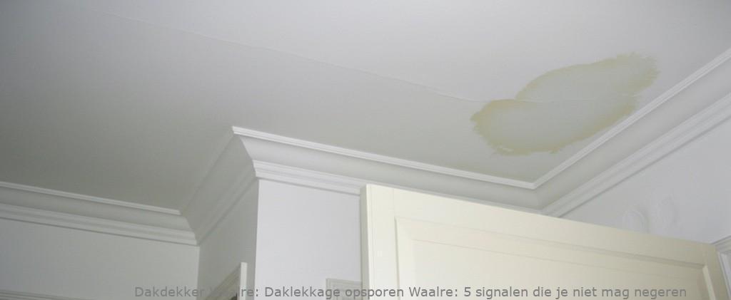 Daklekkage Opsporen Waalre 1