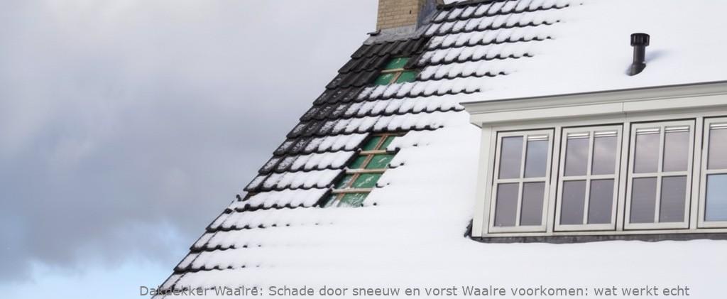 Schade Door Sneeuw En Vorst Waalre